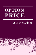 オプション料金