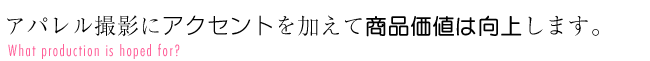 オプション料金について