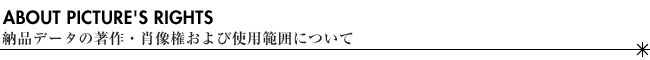 撮影著作物について