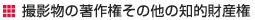 著作権その他の知的財産権について