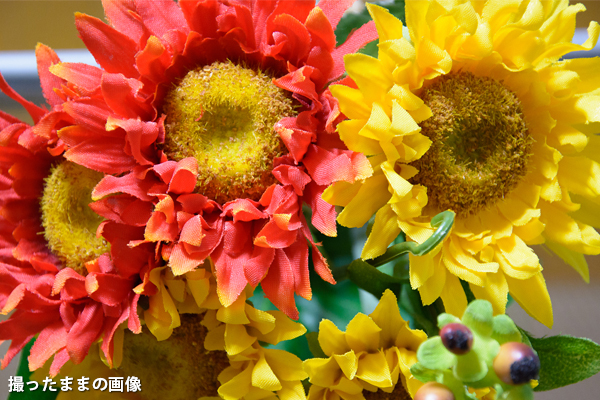 処理前の写真 処理前の写真