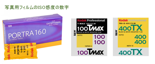 フィルムのISO感度の表示 フィルムのISO感度の表示