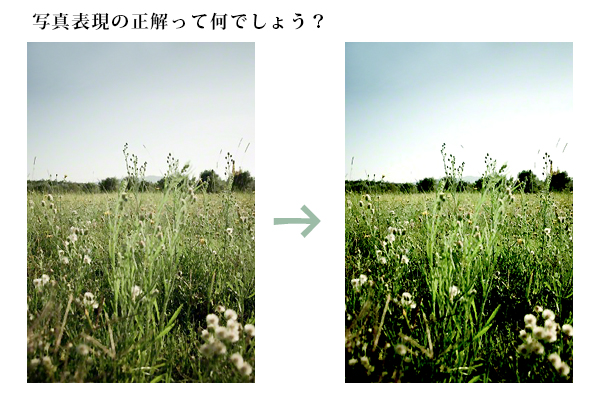 表現方法の違い 表現方法の違い