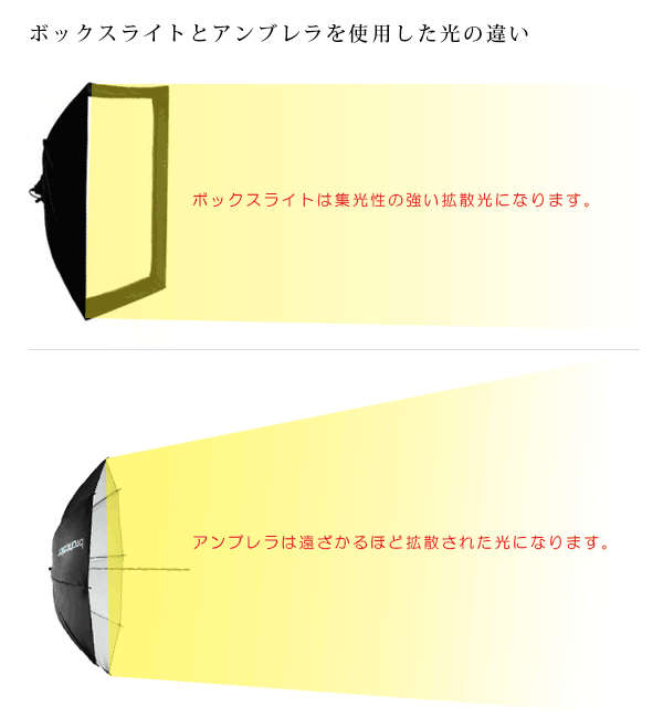 ボックスライトとアンブレラの違い ボックスライトとアンブレラの違い