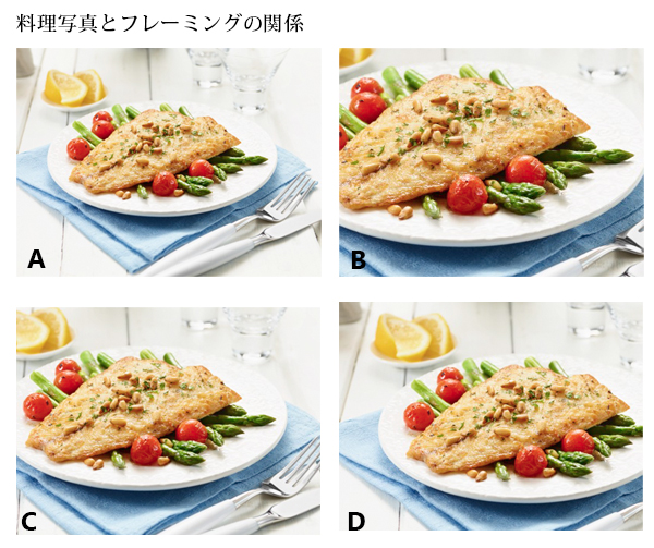 フレーミングの参考事例 フレーミングの参考事例