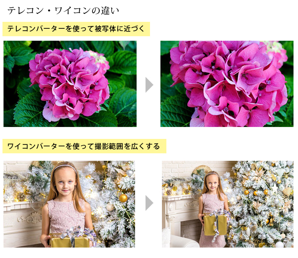 テレコン・ワイコンレンズ装着時のサンプル テレコン・ワイコンレンズ装着時のサンプル