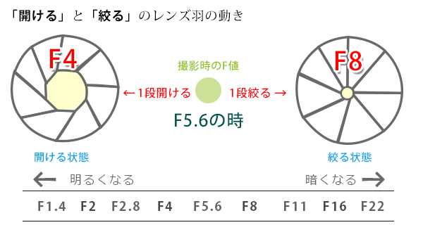 絞りとレンズの変化 絞りとレンズの変化